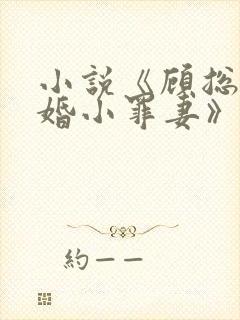 小说《顾总的隐婚小罪妻》