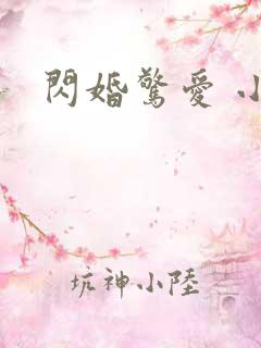 闪婚惊爱 小说