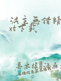 洪主无错精校txt下载
