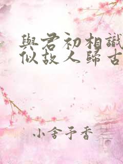 与君初相识,恰似故人归古诗