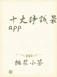 十大挣钱最快的app