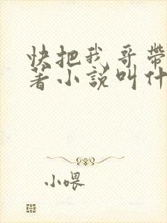 快把我哥带走原著小说叫什么