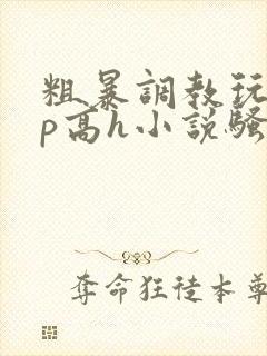 粗暴调教玩弄np高h小说骚受