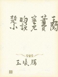 楚昀宁萧王穿越小说免费阅读