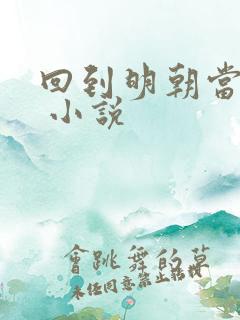 回到明朝当大佬 小说