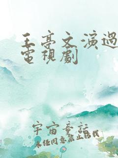 王亭文演过哪些电视剧