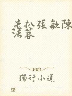 老扒张敏陈红陈法蓉