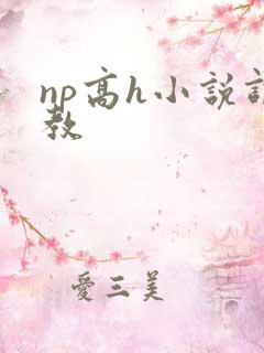 np高h小说调教