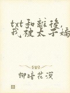 txt和离后,我被太子娇养了