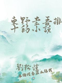 东野圭吾排名前十的小说