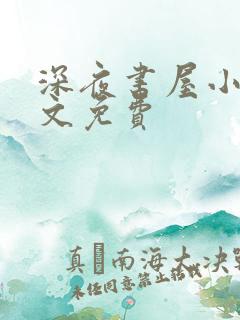 深夜书屋小说全文免费