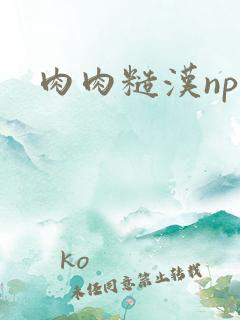 肉肉糙汉np