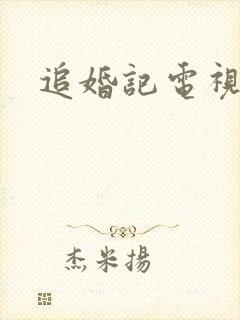 追婚记电视剧