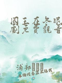 国王在冬眠电视剧免费观看完整版高清