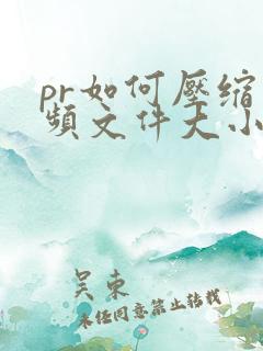 pr如何压缩视频文件大小