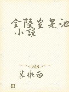 金陵岂是池中物 小说