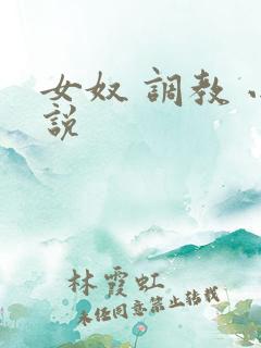 女奴 调教 小说