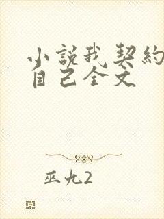 小说我契约了我自己全文