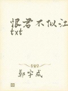 恨君不似江楼月txt