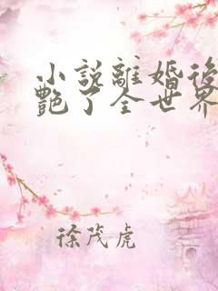 小说离婚后她惊艳了全世界