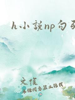 h小说np勾引