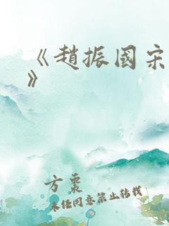 《赵振国宋婉清》