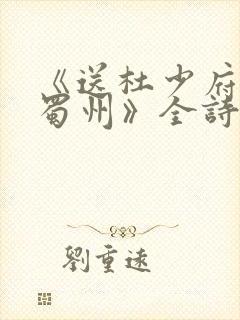 《送杜少府之任蜀州》全诗翻译