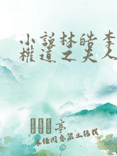 小说林皓李静怡权道之夫人们