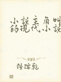 小说主角叫陆晨的现代小说