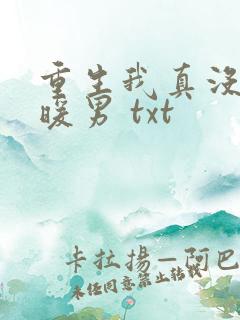 重生我真没想当暖男 txt