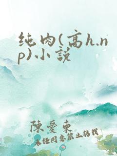 纯肉(高h.np)小说