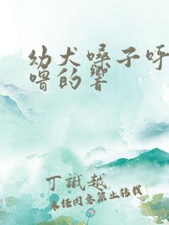 幼犬嗓子呼噜呼噜的响