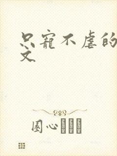 只宠不虐的甜宠文