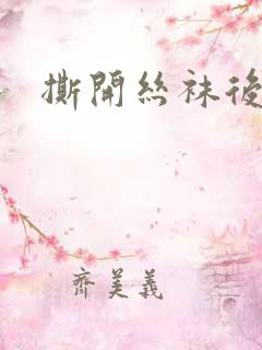 撕开丝袜后入