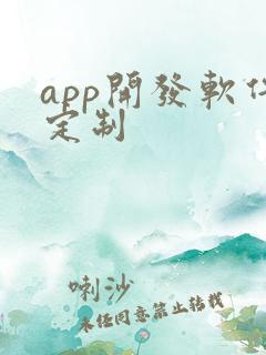 app开发软件定制