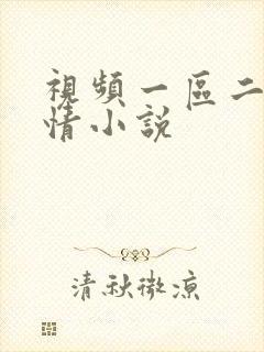 视频一区二区激情小说