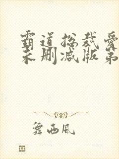 霸道总裁爱上我未删减版第1季