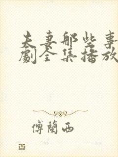 夫妻那些事电视剧全集播放
