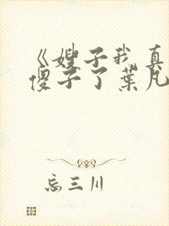 《嫂子我真不是傻子了叶凡》