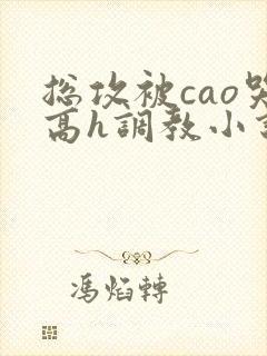 总攻被cao哭高h调教小说
