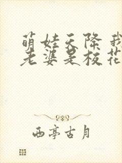 萌娃天降 我的老婆是校花短剧