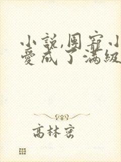 小说,团宠小可爱成了满级大佬