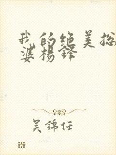 我的绝美总裁老婆杨锋