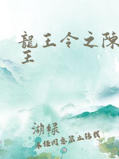 龙王令之陈平殿主 龙王令之陈平殿主