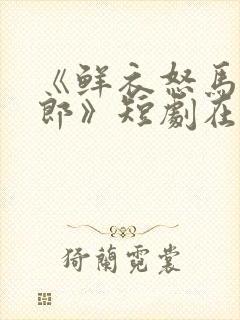 《鲜衣怒马少年郎》短剧在线观看