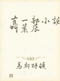 有一部小说主角叫叶辰
