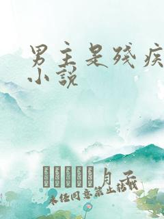 男主是残疾人的小说