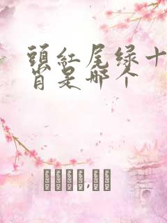 头红尾绿十二生肖是哪个