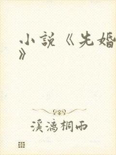 小说《先婚后爱》