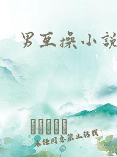 男互操小说